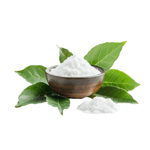 Camphor Terpene