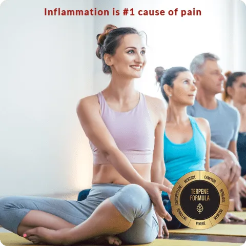 7-key-terpenes-in-dragon-revised-square-480x480